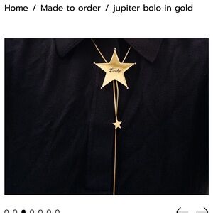 Sweaty Pigeon Gold Star Bolo Necklace